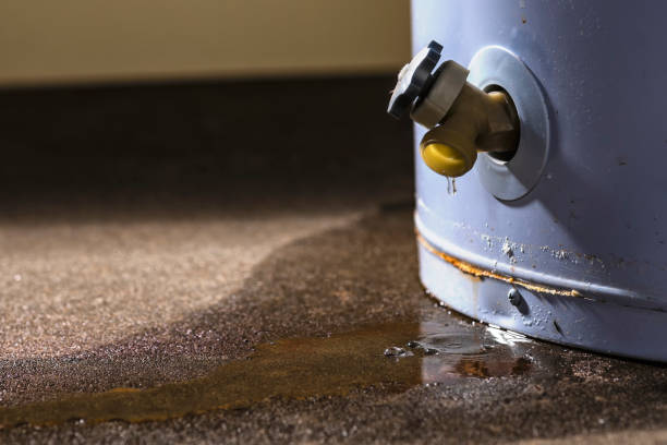 Best Carpet water damage restoration  in Eglin Af, FL
