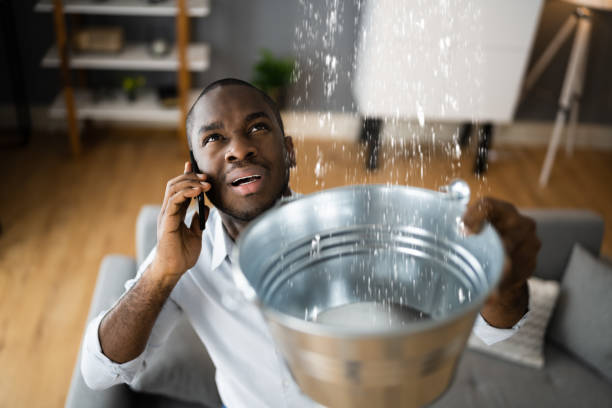 Best Flood restoration services  in Eglin Af, FL