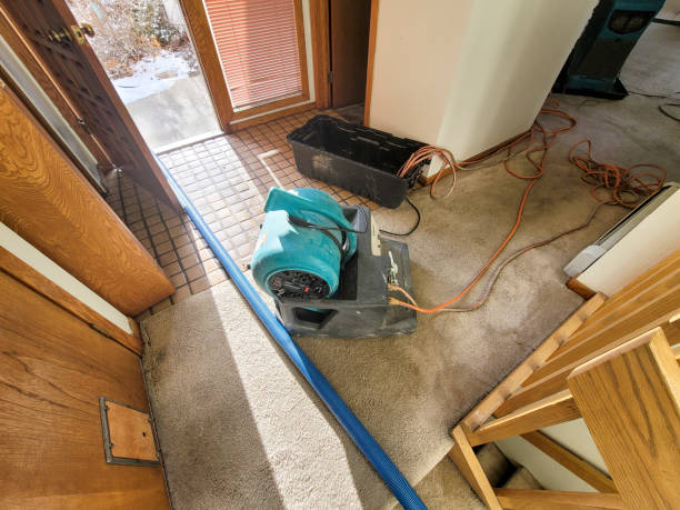 Professional Water damage restoration in Eglin Af, FL