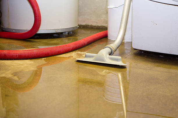 Best 24/7 water damage repair  in Eglin Af, FL