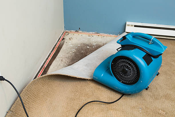  Eglin Af, FL Water damage restoration Pros